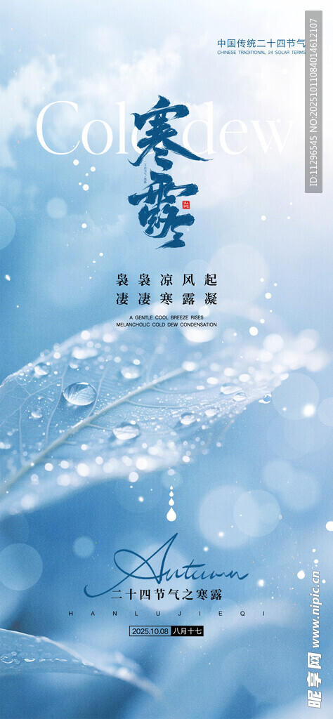 寒露节气海报