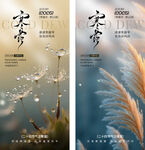 寒露唯美自然风诗意节气海报