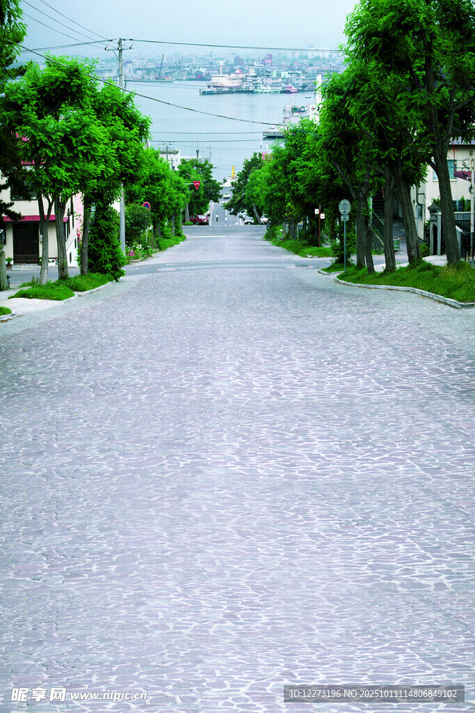绿树成荫的宽阔道路