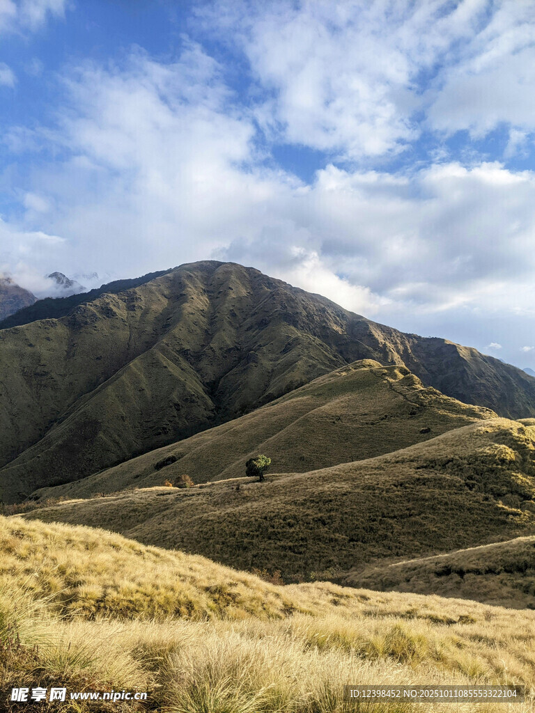 山间草原风光