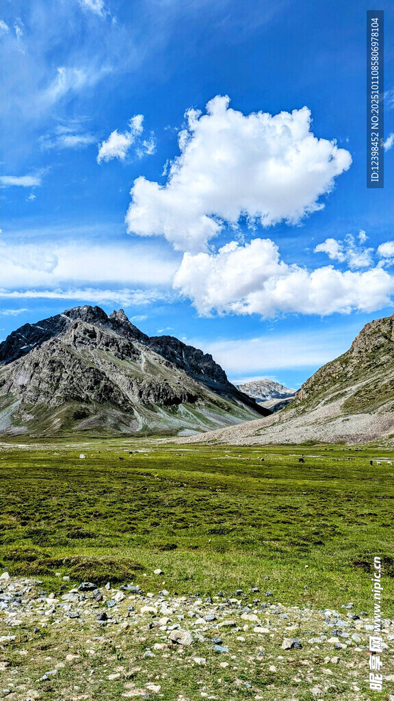 广袤草原与巍峨山峦