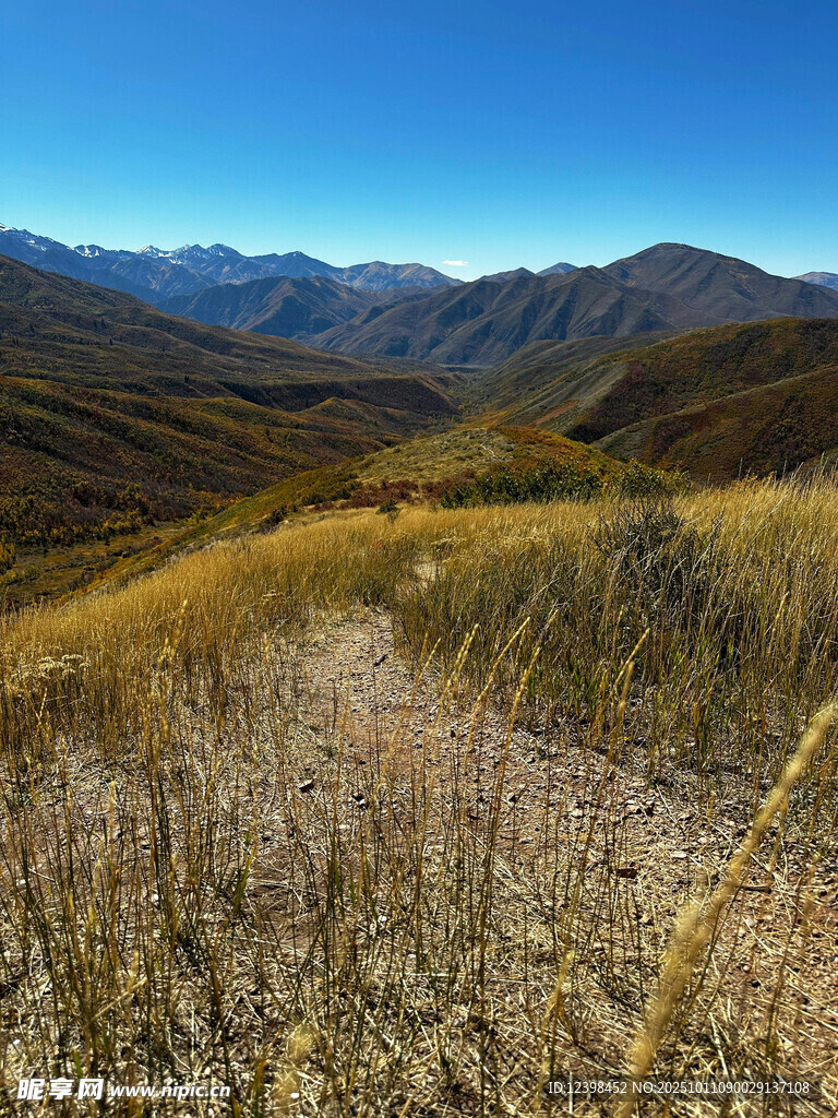 山间旷野美景