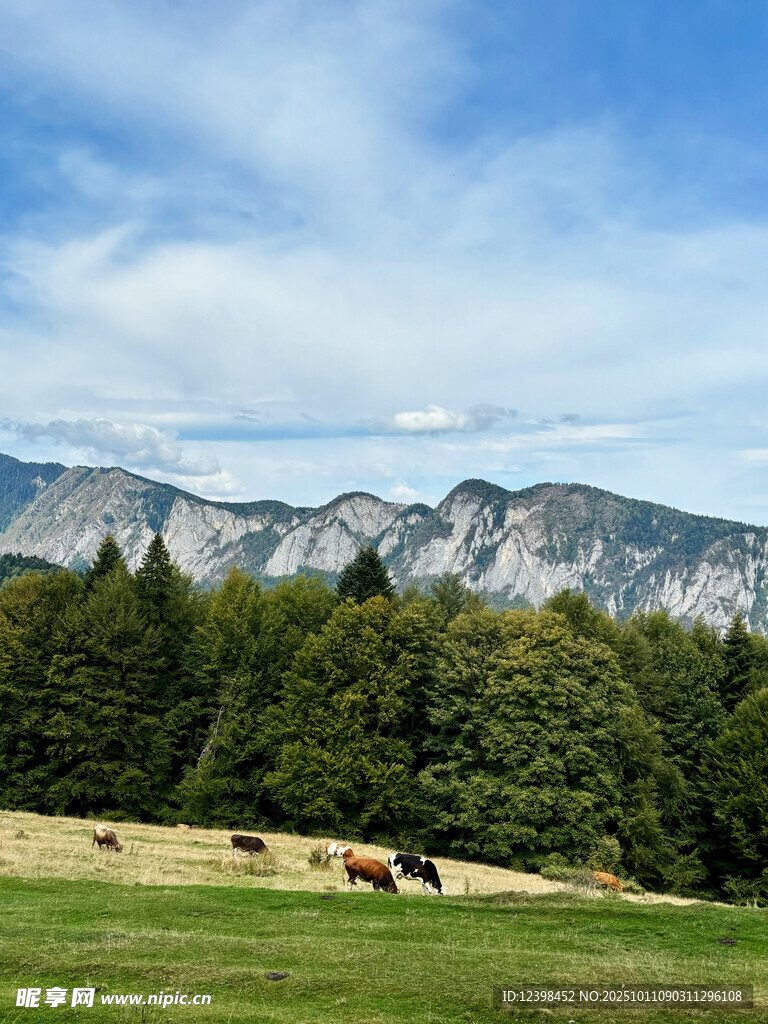 山间草原上的悠闲牧场景象