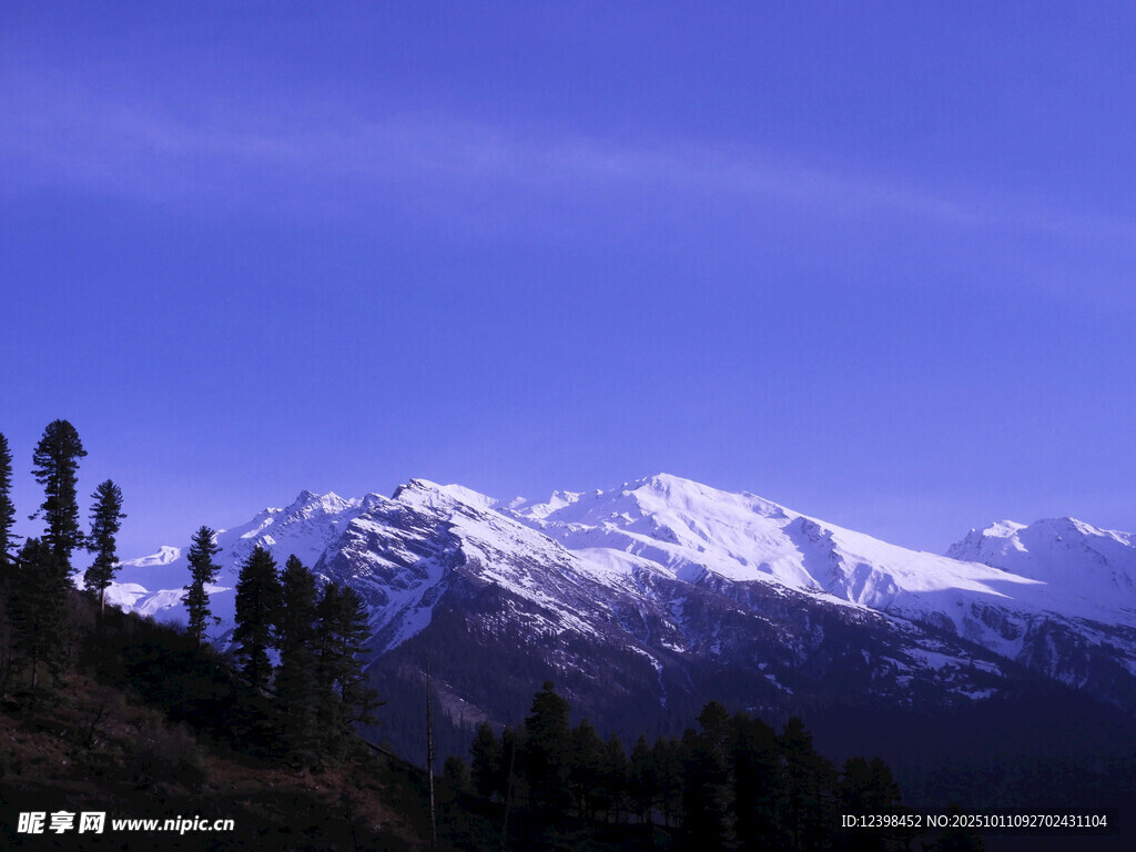 雪山森林美景