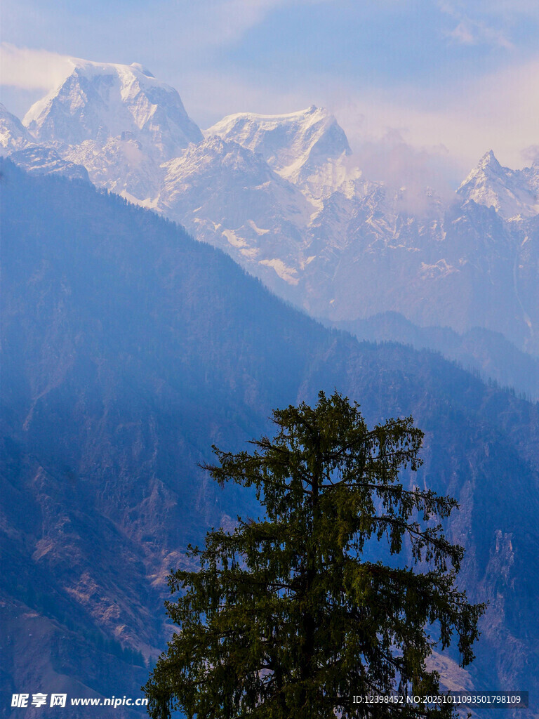 巍峨山峦旁的挺拔绿树