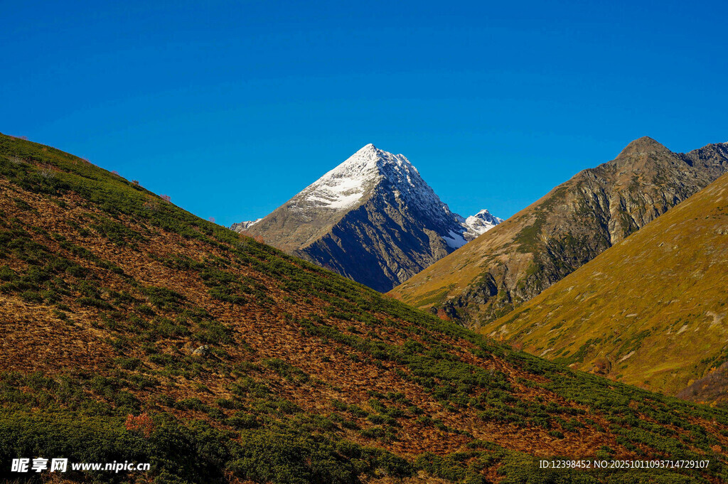 巍峨雪山与葱郁山坡美景