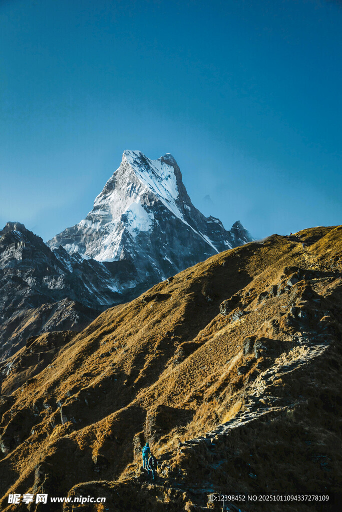 巍峨雪山下的壮丽山地景观