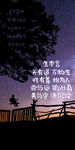夜晚星空书影 手机壁纸