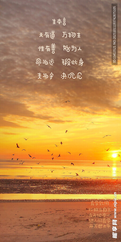 海边日落与飞鸟 手机壁纸