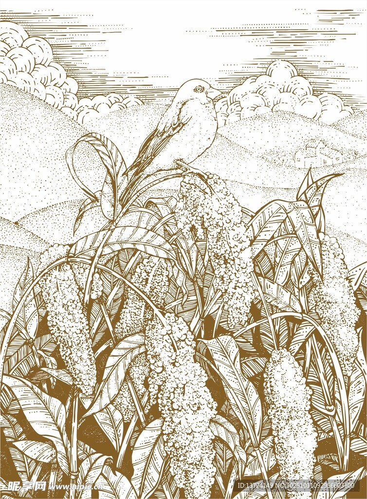 手绘高粱鸟