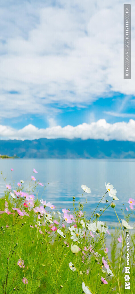 湖畔花草与蓝天碧水美景