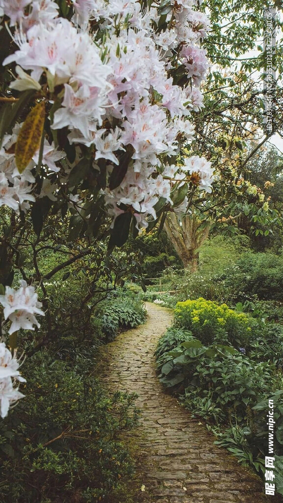 繁花小径春日花园景致