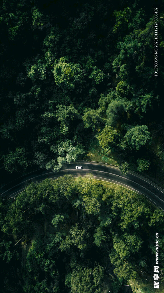 蜿蜒公路穿梭于翠绿山林
