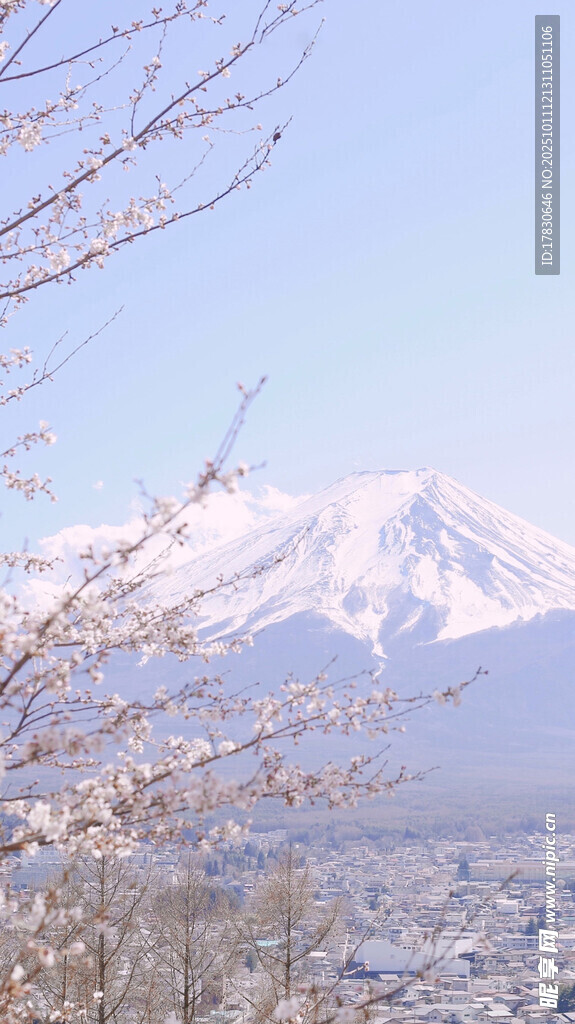 富士山下的冬日城市景观