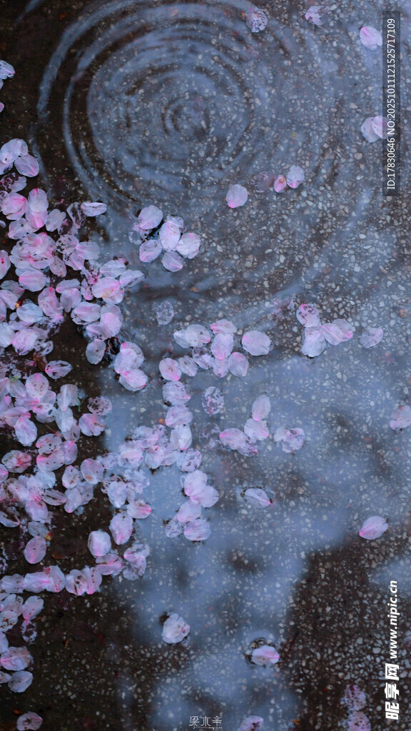 落花入水泛起圈圈涟漪