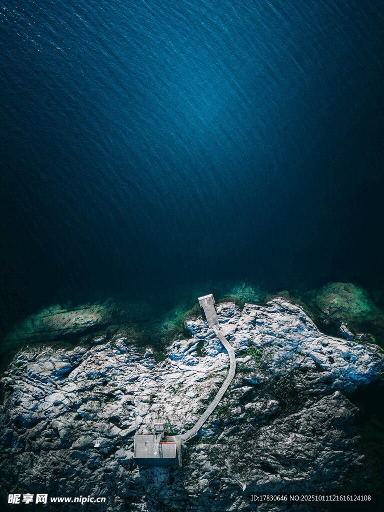深海中的塑料垃圾景象