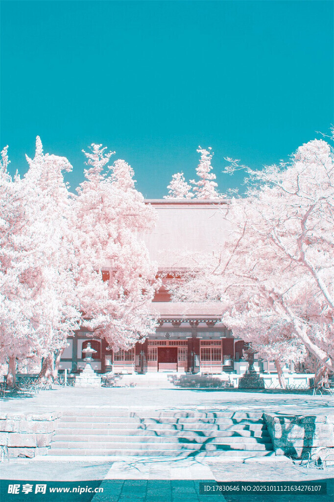 冬日雪景中的古建筑景观