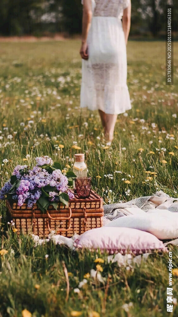 女子草地野餐背影