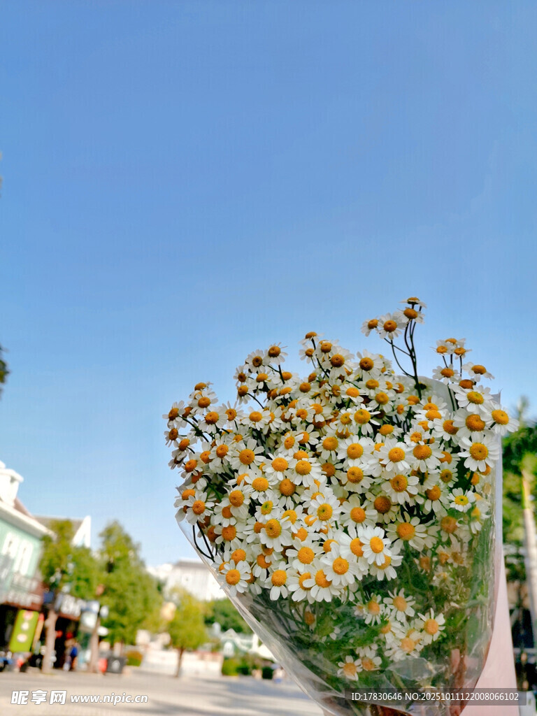 街头盛放的灿烂雏菊花束