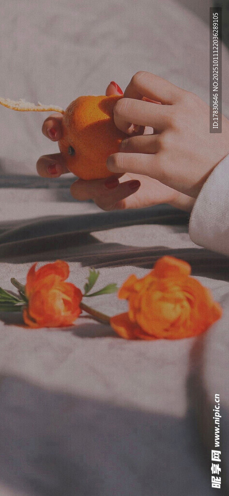 手捧橙花的温柔瞬间
