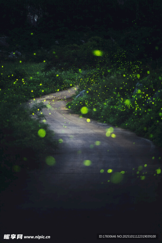 夜中小径闪烁的梦幻萤火虫