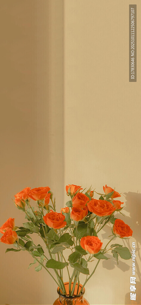 花瓶中的艳丽橙色花朵
