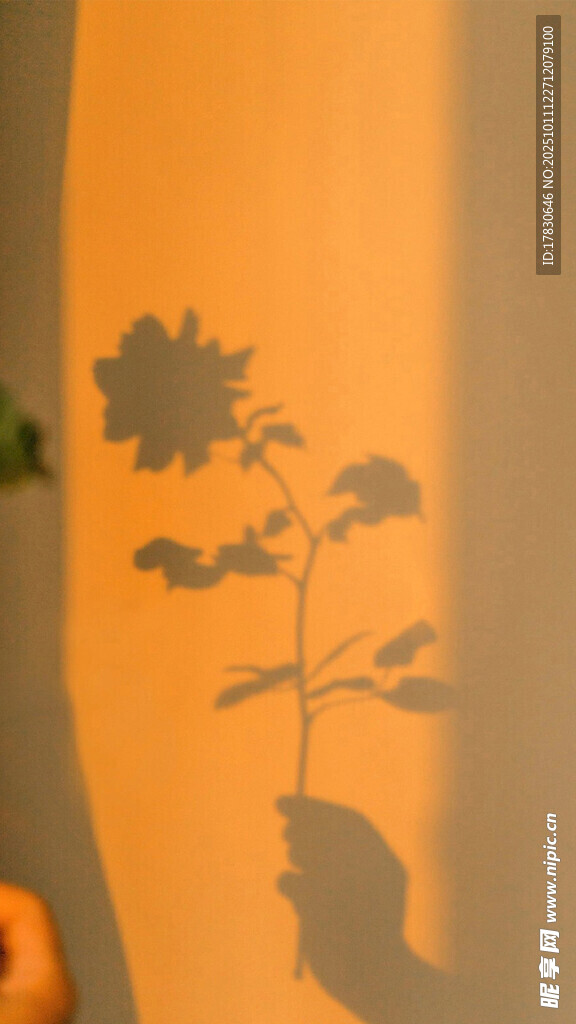 竖版壁纸