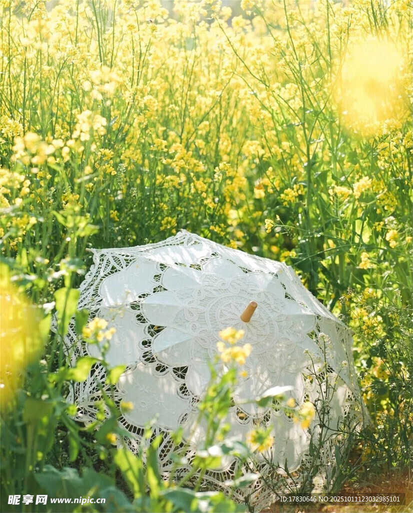 田野中的透明梦幻雨伞