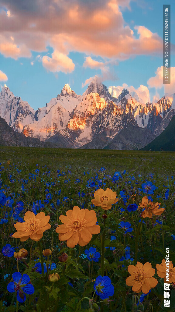 花海中的壮丽山峦美景