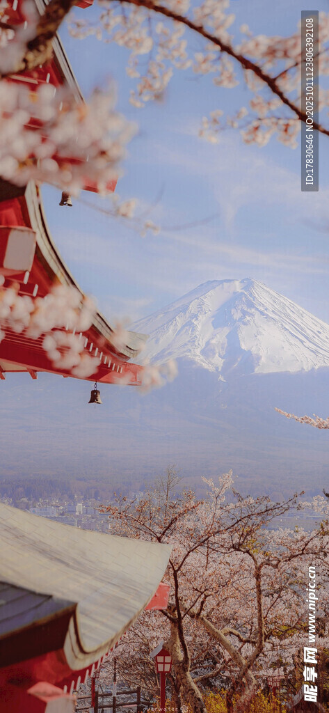 富士山下樱花与建筑美景