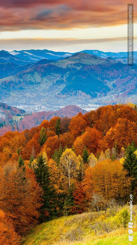 秋日山峦多彩树林美景