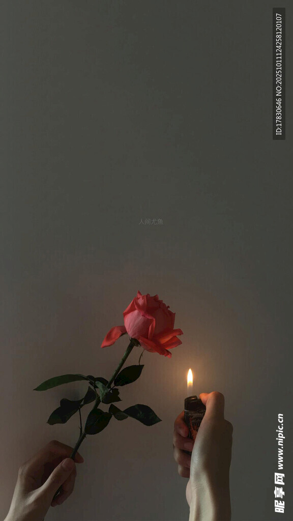 手持玫瑰与蜡烛的温馨画面