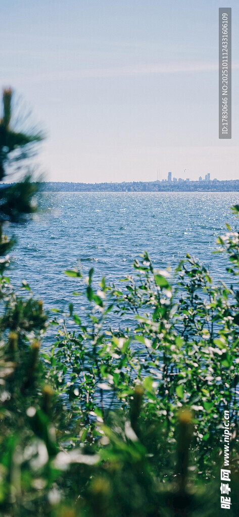 海边绿植与远处城市景致