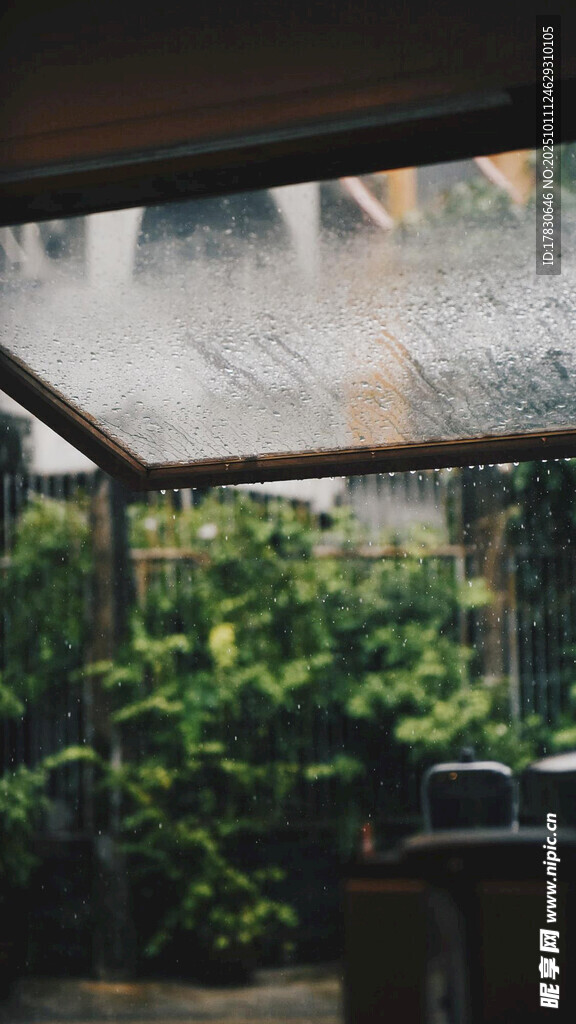 雨中庭院绿植景观