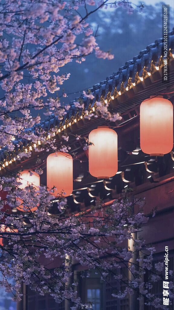 古建挂灯处樱花正烂漫