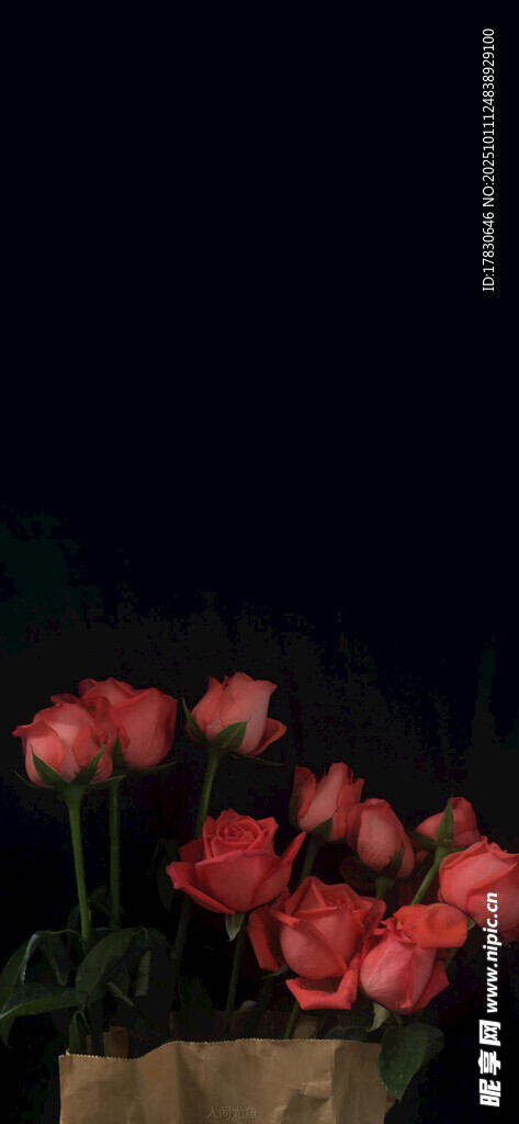 夜间绽放的艳丽朱顶红