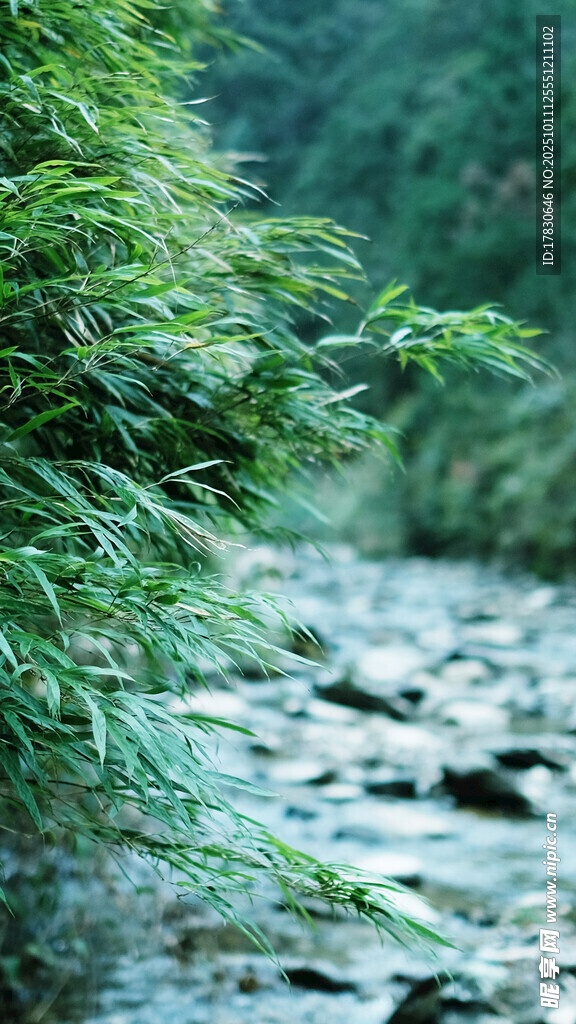 溪边葱郁绿植与嶙峋石景