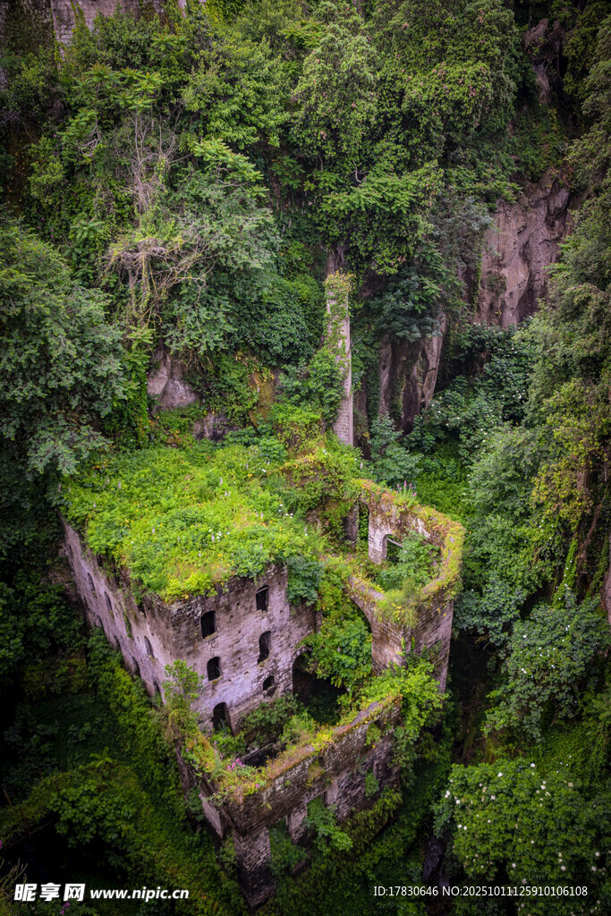 丛林中古老废弃的建筑遗迹