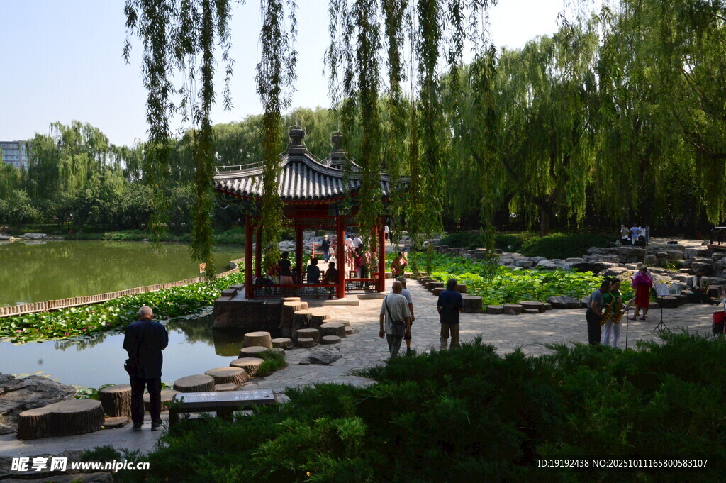 公园风景 