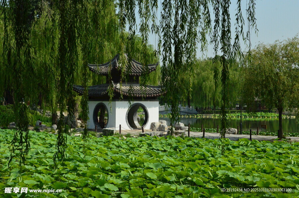 公园风景  