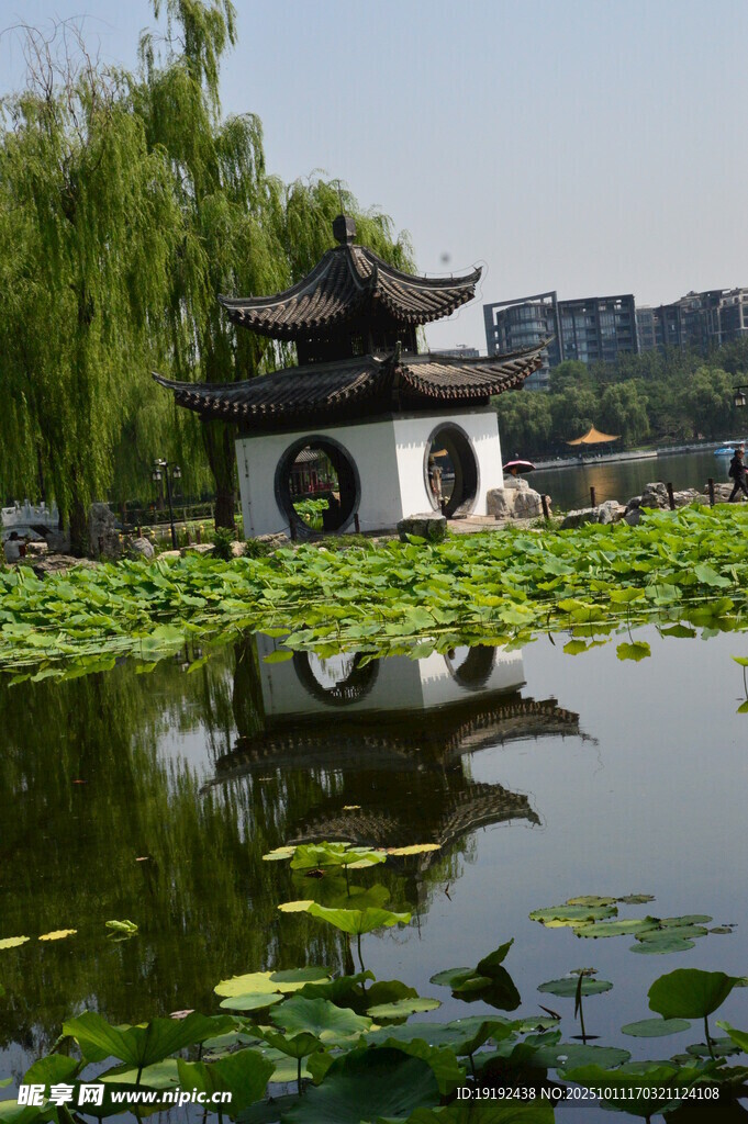 公园风景  