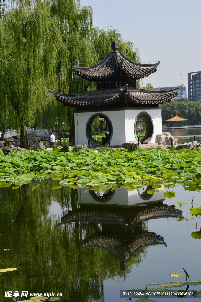 公园风景  