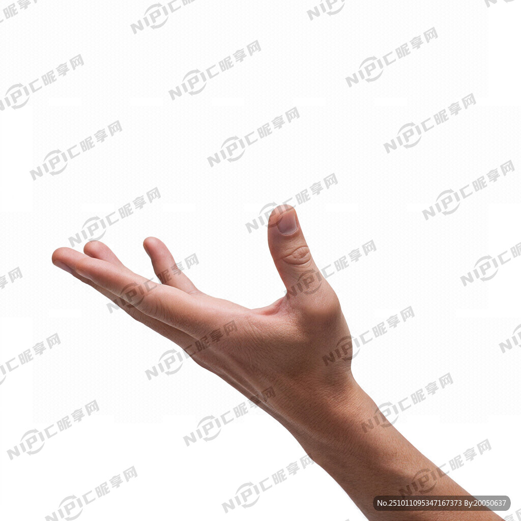 一只托举的手的标志