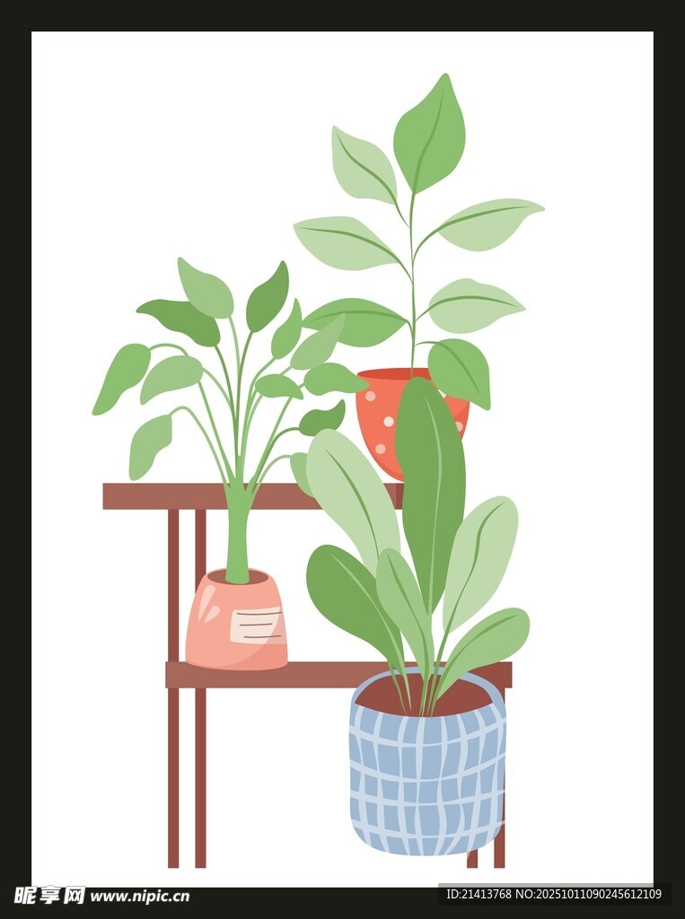 室内绿植装饰架上的生机