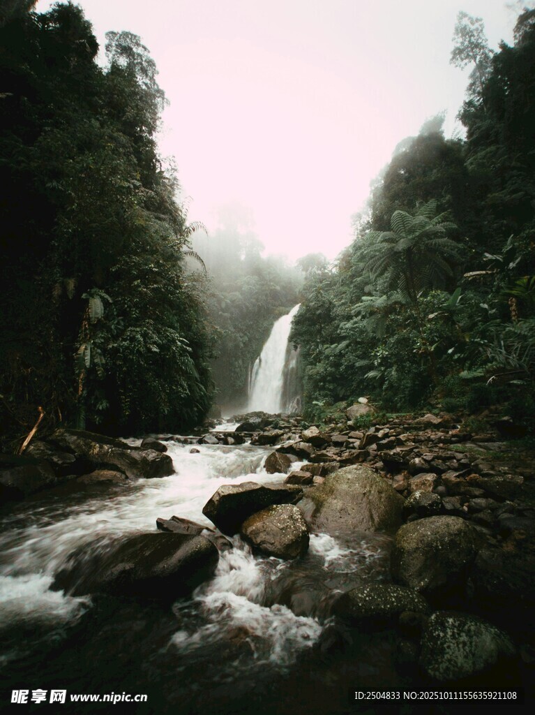 雨林中的瀑布溪流景观
