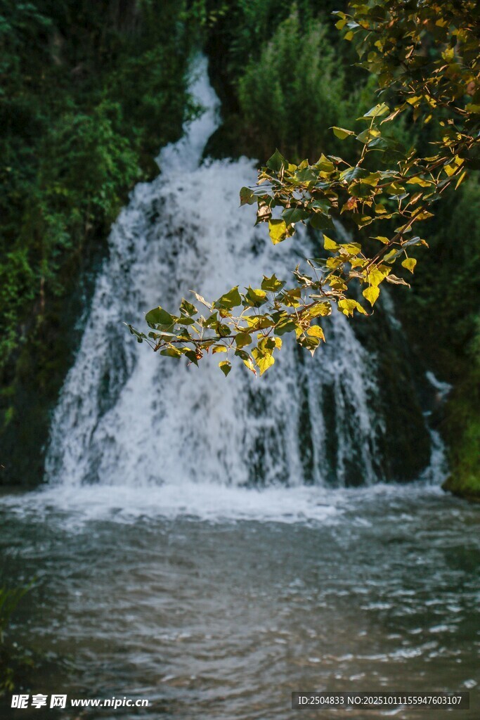 山间瀑布与金黄树叶美景