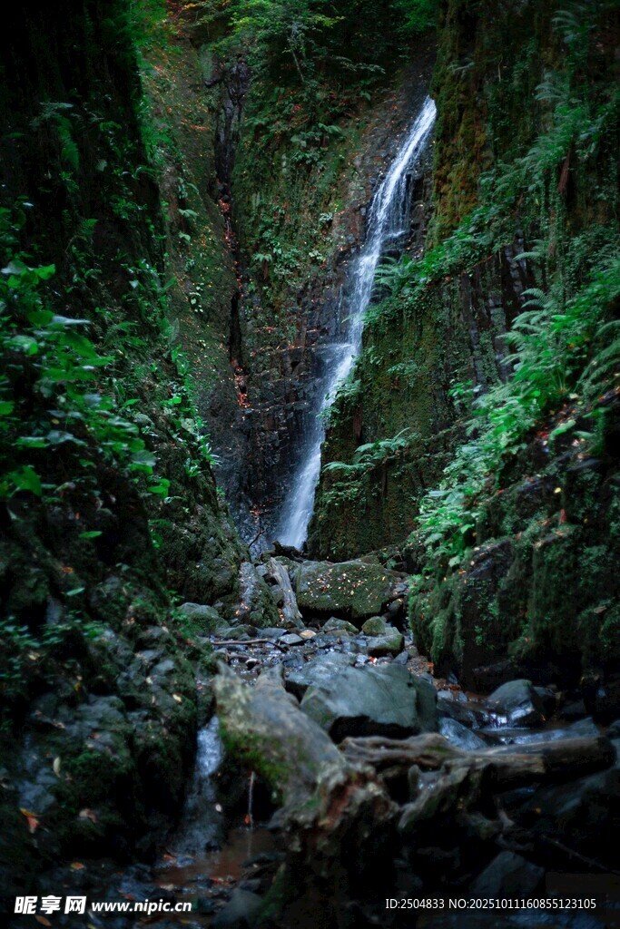 山间瀑布 绿意环绕之景