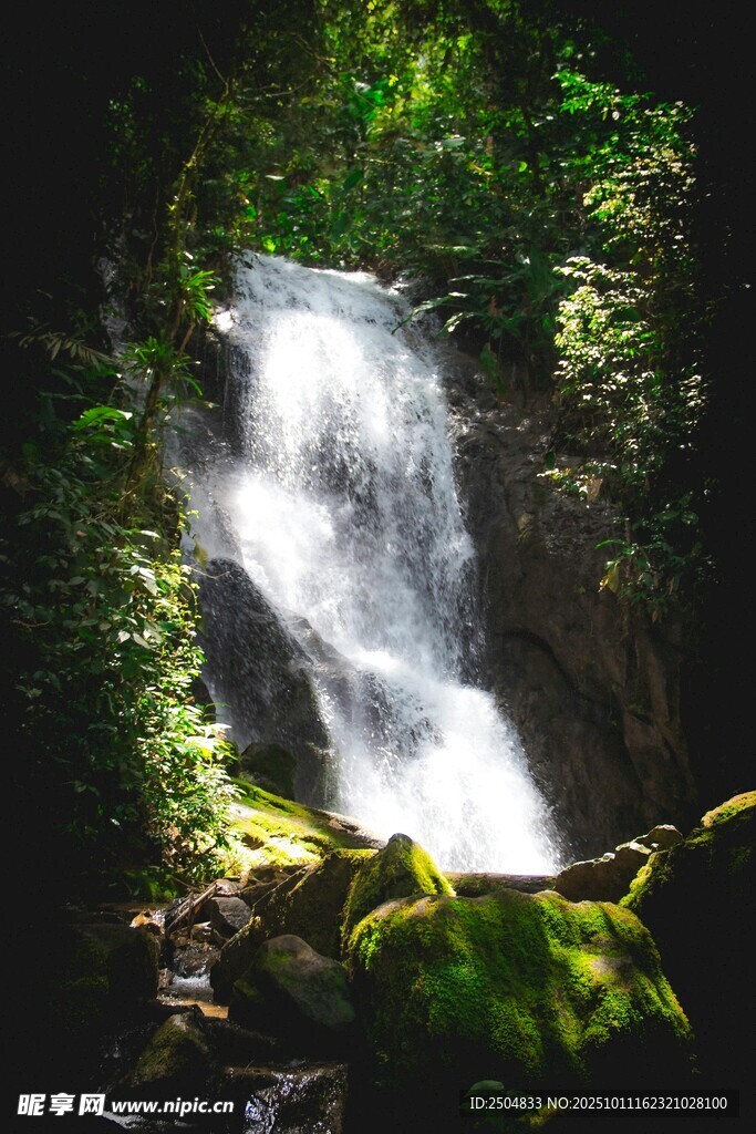 山林中的美丽瀑布景观