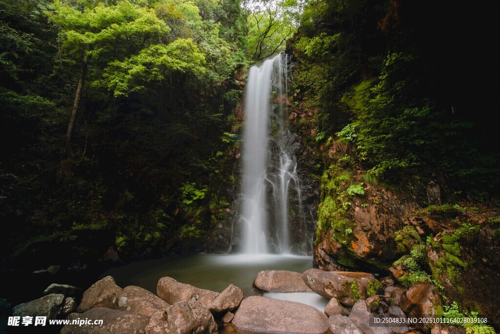 雨林中的美丽瀑布景观