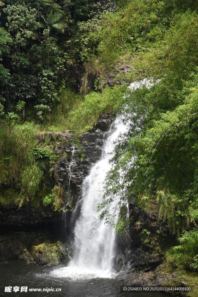 山间瀑布 绿意环绕美景